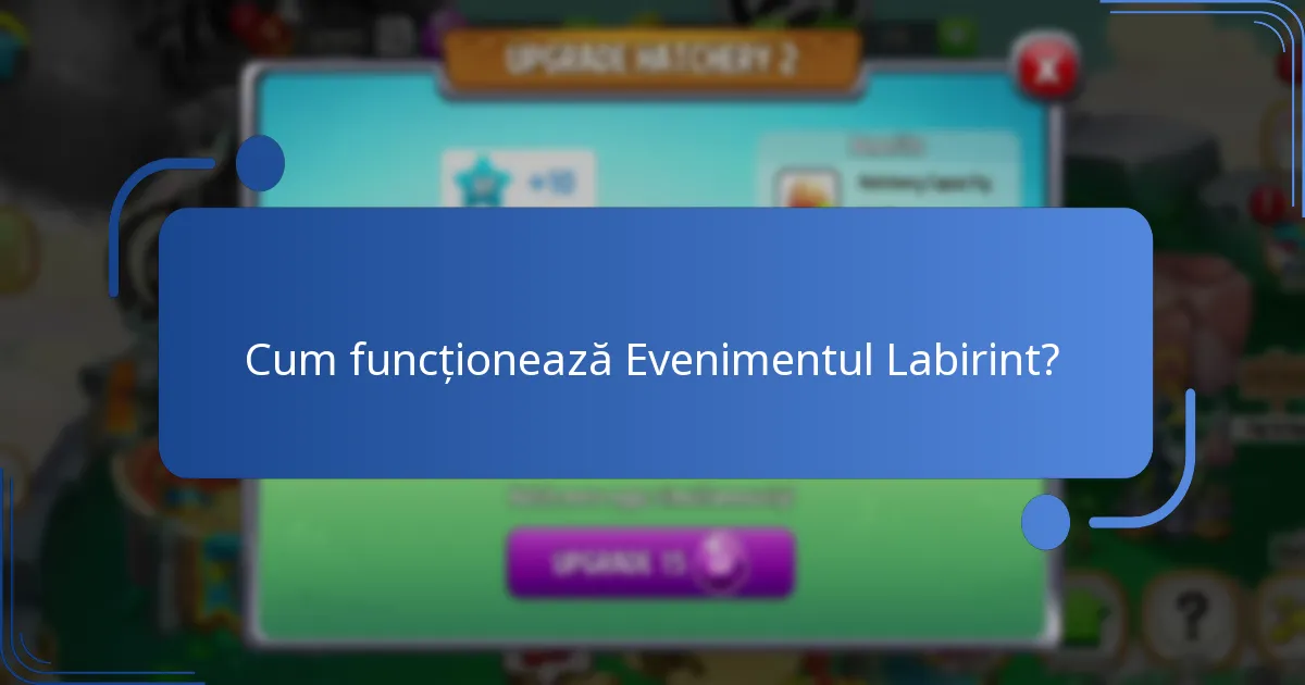 Cum funcționează Evenimentul Labirint?